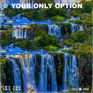 Album Your Only Option from Two Can