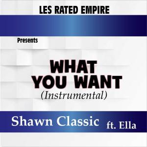 ดาวน์โหลดและฟังเพลง What You Want (feat. Ella) [Instrumental] พร้อมเนื้อเพลงจาก Shawn Classic