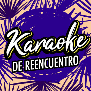 Various Artists的專輯Karaoke de Reencuentro