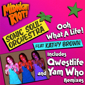 Album Ooh What a Life (Remixes) from Sonic Soul Orchestra