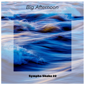 Various Artists的專輯Big Afternoon Sympho Shake 22