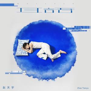 收听赵天宇的只有你歌词歌曲