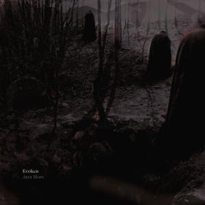 ดาวน์โหลดและฟังเพลง Grim Eloquence พร้อมเนื้อเพลงจาก Evoken