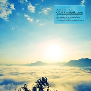 Various Artists的專輯CCM Piano Collection For Bright New Year Evangelized By Agape Tree