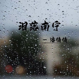 Album 泪落南宁 from 潘倩倩