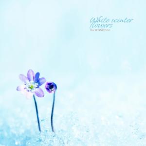 Ha Seongjun的专辑White Winter Flowers