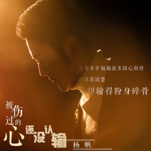 收听杨帆的被伤过的心还没认输 (伴奏)歌词歌曲
