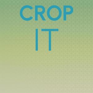 Crop It dari Various