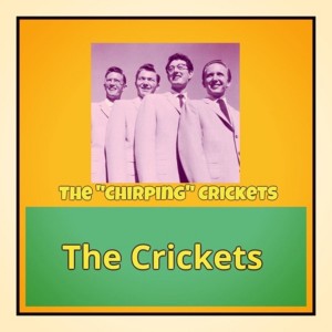 收听The Crickets的That'll Be the Day歌词歌曲