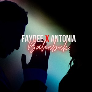 อัลบัม Bahebek ศิลปิน Faydee