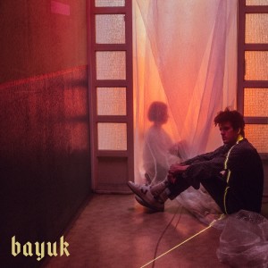 收听Bayuk的You Won (Single Edit)歌词歌曲