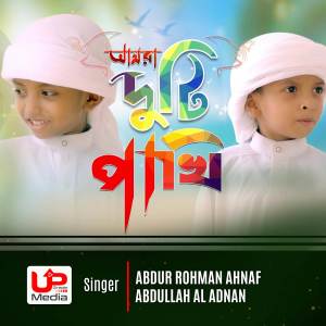 收聽Abdur Rahman Ahnaf的Amra Duti Pakhi歌詞歌曲