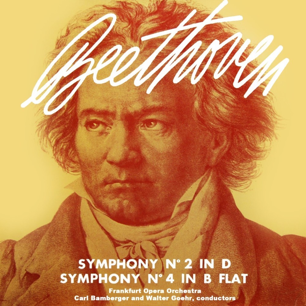 Symphony No. 2 in D Major, Op. 36: III. Allegro molto