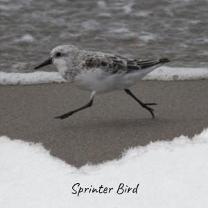 收听Miln Leagh的True Her歌词歌曲