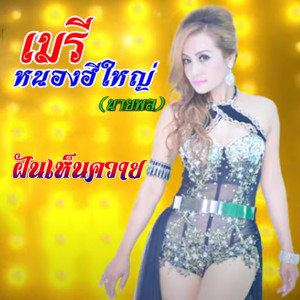 ดาวน์โหลดและฟังเพลง แค่คนมักเมาบ่เอาผัวไผ พร้อมเนื้อเพลงจาก เมรี หนองฮีใหญ่