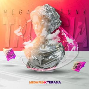 Dj Lucas Riibas的專輯Mega Funk Tripasia (feat. Dj Batata CWB)