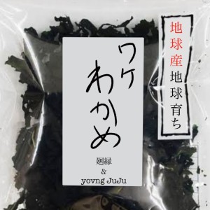 Listen to ワケわかめ song with lyrics from 廻縁