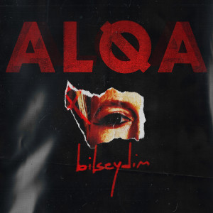 Album bilseydim from 