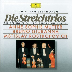 收聽Anne Sophie Mutter的1. Adagio - Allegro con brio歌詞歌曲