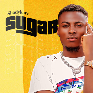 Listen to Sugar song with lyrics from ShadyKarz