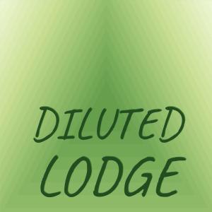 อัลบัม Diluted Lodge ศิลปิน Various Artists