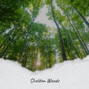 收听Lemo Shony的Conserve Whichsoever歌词歌曲