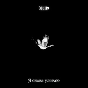 Listen to Я снова улетаю song with lyrics from Mull3