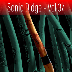 อัลบัม Sonic Didge, Vol. 37 ศิลปิน David Hudson