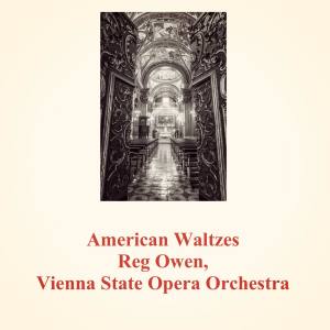 Reg Owen的专辑American Waltzes
