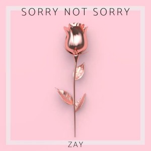 ดาวน์โหลดและฟังเพลง Sorry Not Sorry พร้อมเนื้อเพลงจาก Zay
