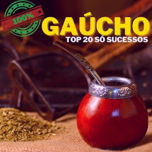 Various Artists的專輯100% Gaúcho - Top 20 Só Sucessos