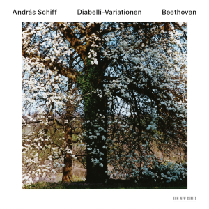 ดาวน์โหลดและฟังเพลง Beethoven: 33 Piano Variations In C, Op.120 On A Waltz By Anton Diabelli - Variation 22 (Allegro molto): Alla "Notte e giorno faticar" di Mozart (Franz Brodmann Fortepiano) พร้อมเนื้อเพลงจาก Andras Schiff