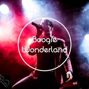 收聽The Feelgood Orchestra的Boogie Wonderland (其他)歌詞歌曲
