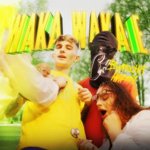 Album WAKA WAKA E oleh Berechet