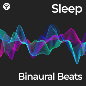 อัลบัม Sleep (Binaural Beats) ศิลปิน Binaural Beats Zen Sleep Music