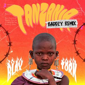 收聽Blaxtork的TANZANIA VIP (feat. BADDZY)歌詞歌曲