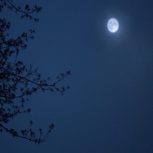 收聽熏悟空的我本將心向明月 (流行版)歌詞歌曲