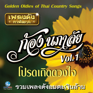 อัลบัม เพลงดังหาฟังยาก "ก้อง นภาลัย", Vol.1 (Golden Oldies Of Thai Country Songs) ศิลปิน ก้อง นภาลัย