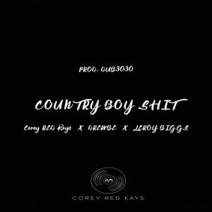 Album Country Boy Shit (Explicit) from Leroy Biggs