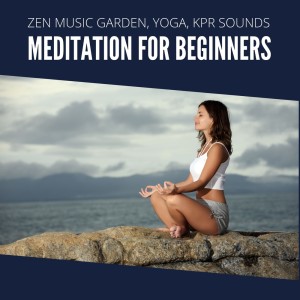 อัลบัม Meditation for Beginners ศิลปิน KPR Sounds