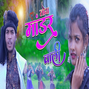 Listen to Toy Mander Wali Sajni song with lyrics from SONY KUMARI