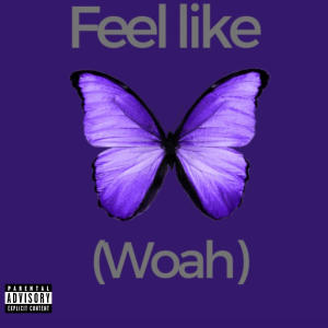 Feel like (Woah) (Explicit) dari Vin