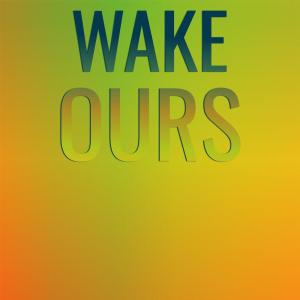 Various Artists的專輯Wake Ours