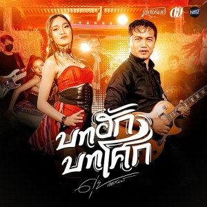 บทฮักบทโศก - Single