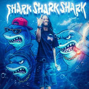 收聽Fatscrapp的SHARK SHARK !! (Explicit)歌詞歌曲