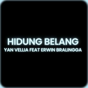 Dengarkan lagu Hidung Belang nyanyian Yan Vellia dengan lirik