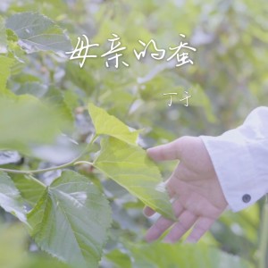 丁于的专辑母亲的蚕