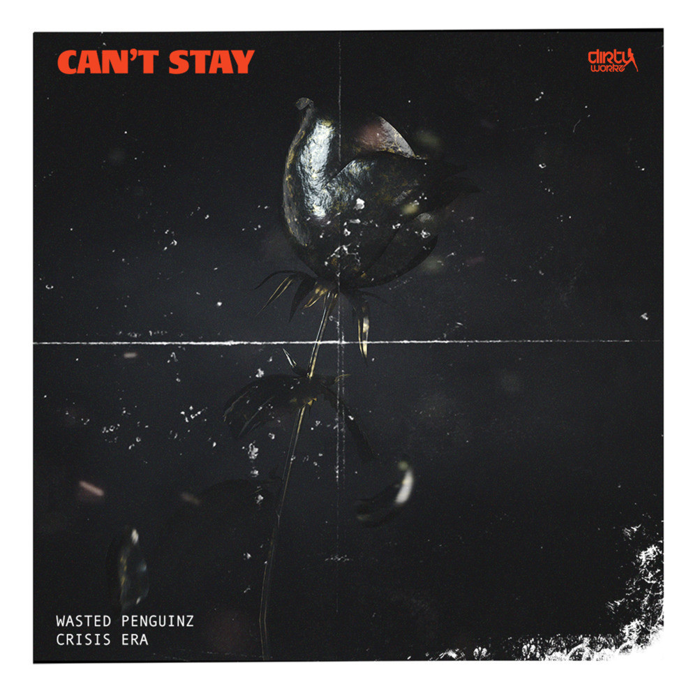 Can't Stay (Remix)