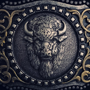 Album I Roam With the Buffalo from 