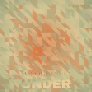 Various Artists的專輯Recognizing Under